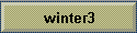 winter3