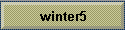 winter5